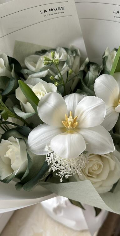Spring 224645