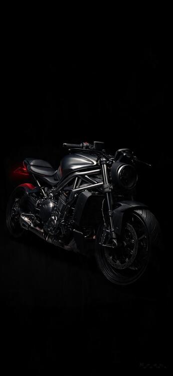 Black 329313