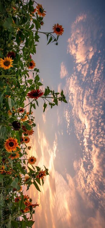 Spring 108843