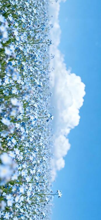 Blue 330301