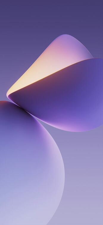 Purple 255354