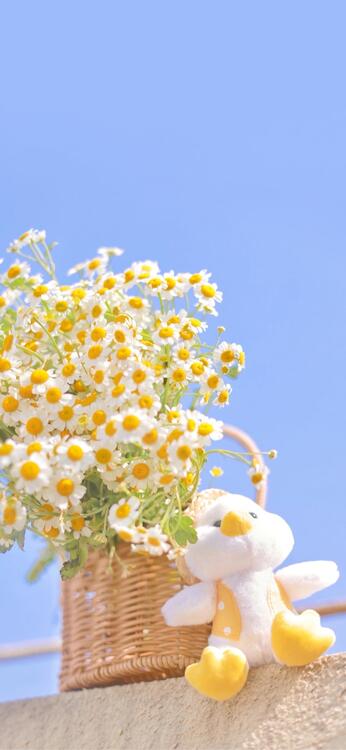 藍色