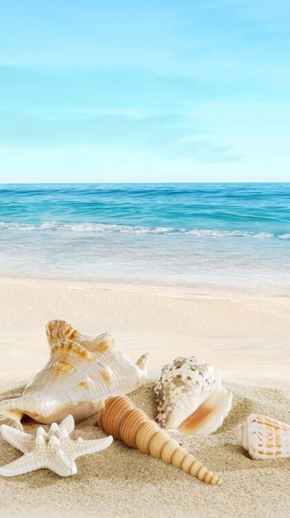 Beach 105246