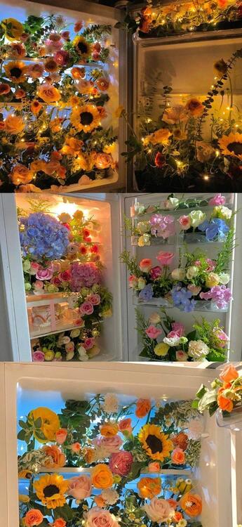 Spring 104625
