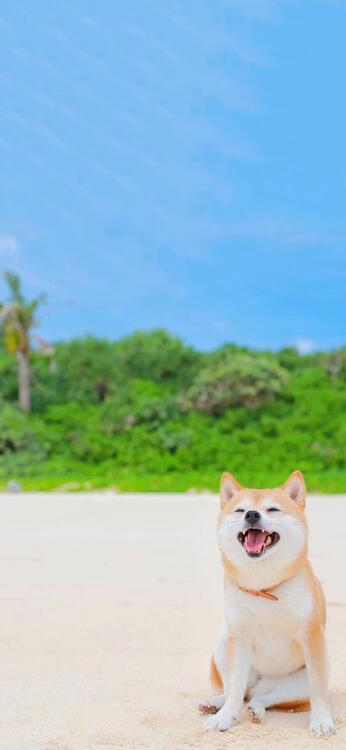 Wallpaper aesthetic wallpapers iPhone