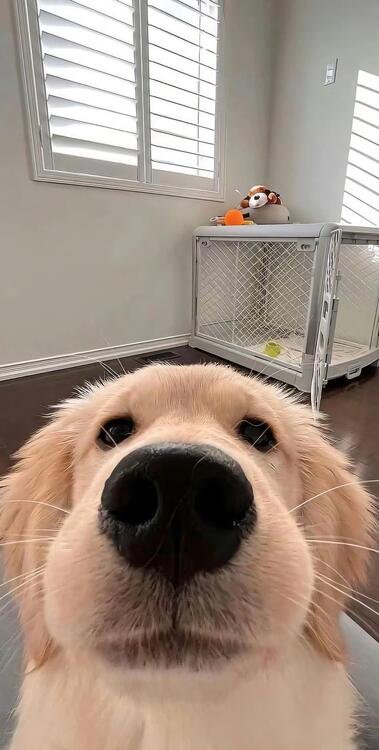 壁纸精美iPhone壁纸