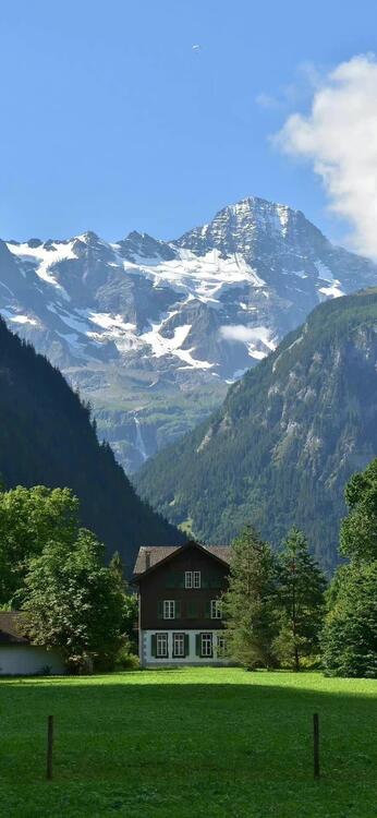Blue 232158