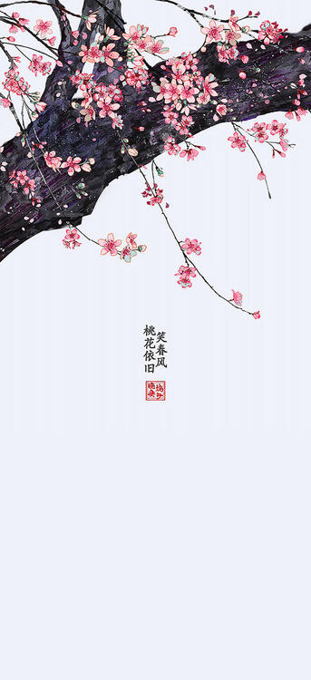 Spring 240437
