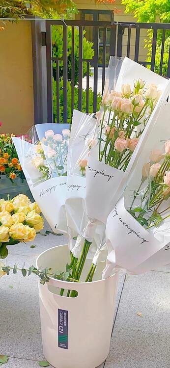 Spring 224573