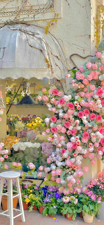 Spring