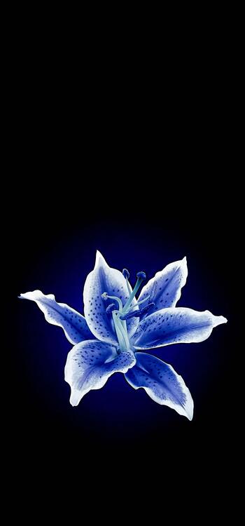 Wallpaper aesthetic wallpapers iPhone