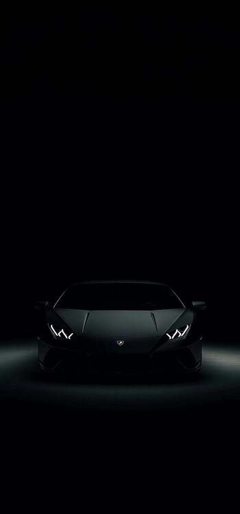 Black 299390