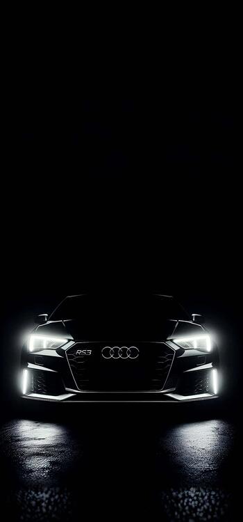Black 299873