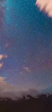 Nature 101345