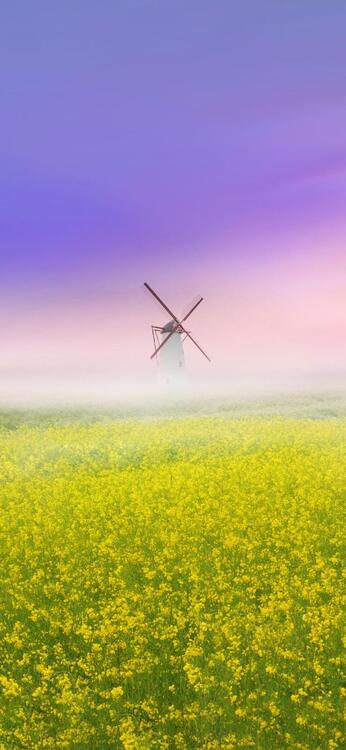 Spring 108280