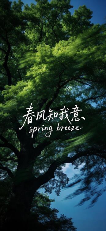 桌布精美iPhone桌布