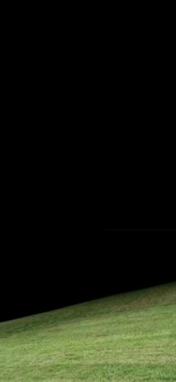 Negro 320255