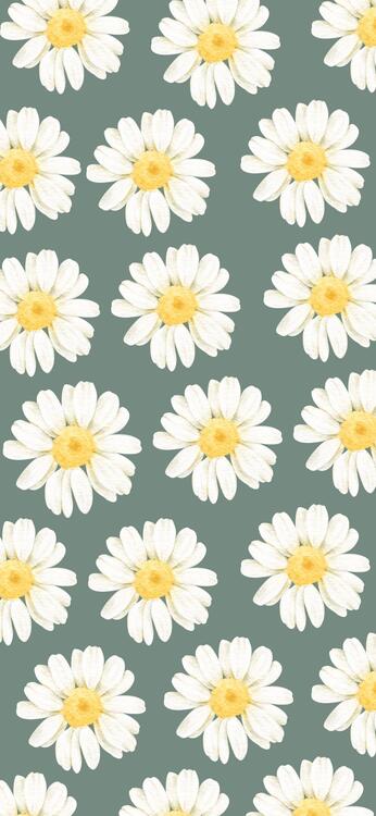 Spring 331739