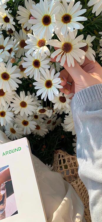 Spring 225502