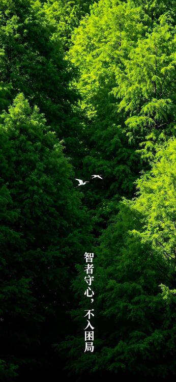 壁纸精美iPhone壁纸