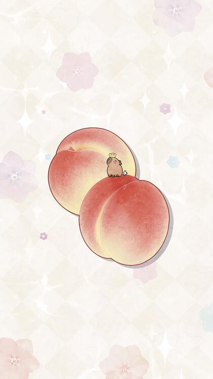 桌布精美iPhone桌布