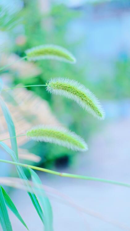 Spring 190724