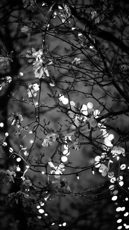 Wallpaper aesthetic wallpapers iPhone