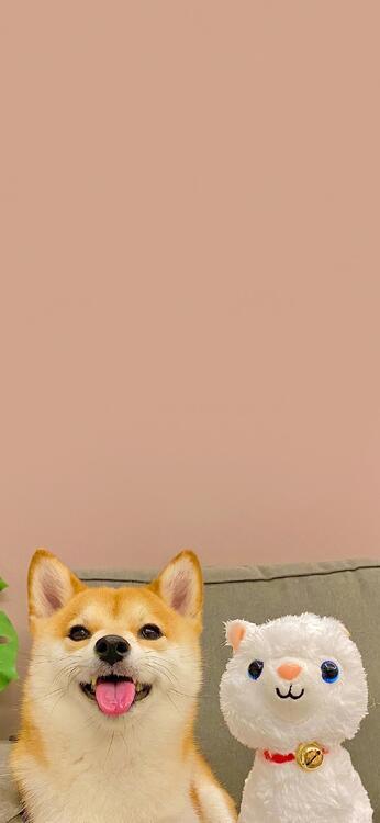 Wallpaper aesthetic wallpapers iPhone