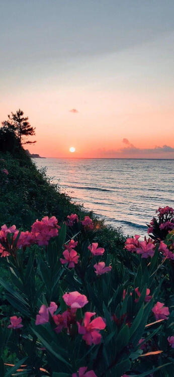 Wallpaper aesthetic wallpapers iPhone