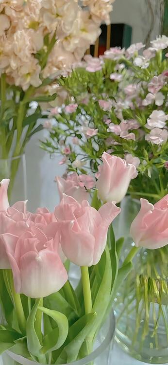 Primavera