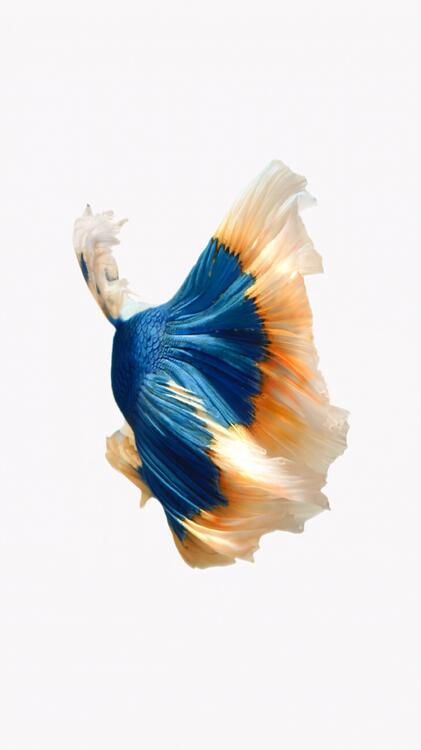 Wallpaper aesthetic wallpapers iPhone