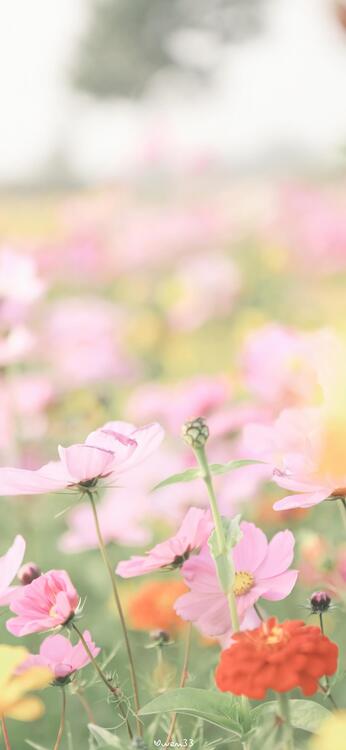 春 103431