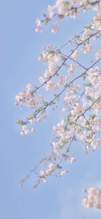 春天