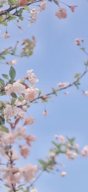 Spring 103414