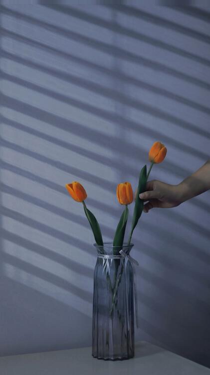 Spring 114567