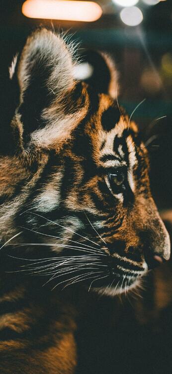 Wallpaper aesthetic wallpapers iPhone