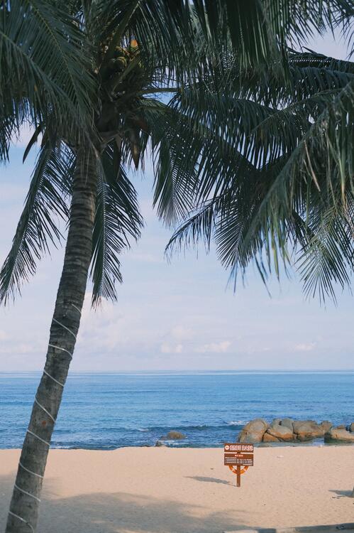 海灘