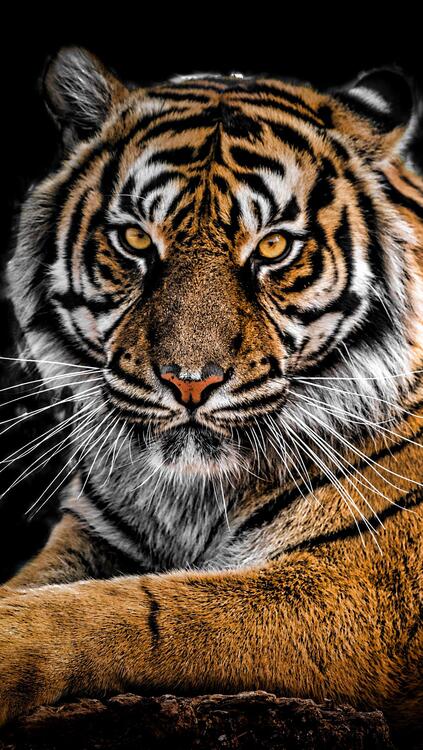 Wallpaper aesthetic wallpapers iPhone