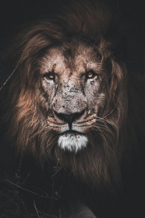 Wallpaper aesthetic wallpapers iPhone