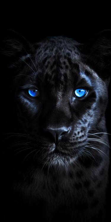 Wallpaper aesthetic wallpapers iPhone