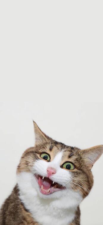 Wallpaper aesthetic wallpapers iPhone