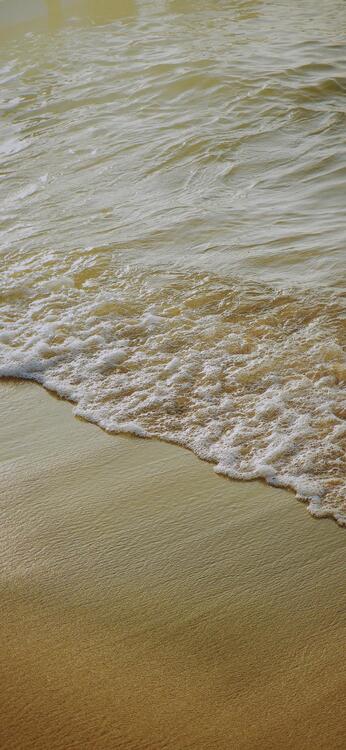 Playa 118980