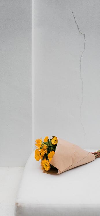 Fondo fondos estéticos para iPhone