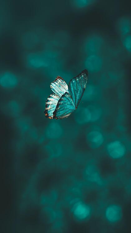 Wallpaper aesthetic wallpapers iPhone
