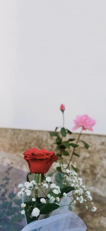Spring 111624