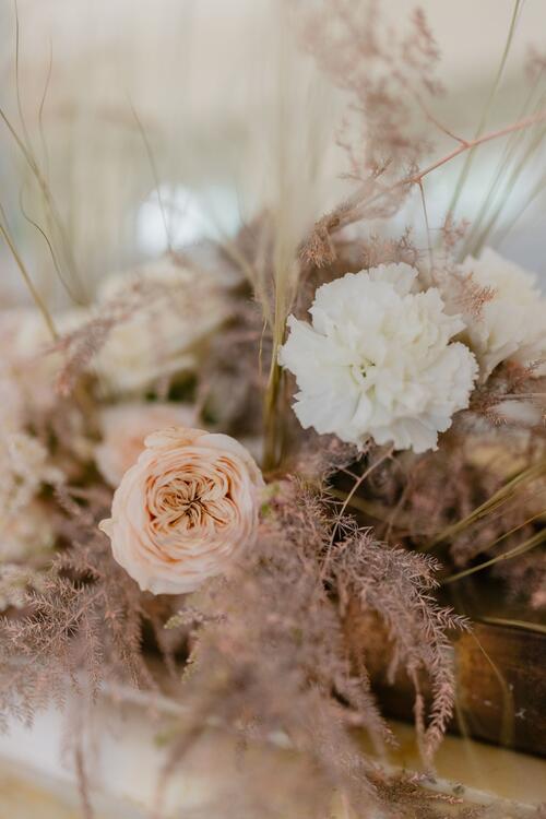 Primavera