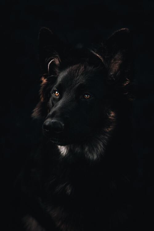 Wallpaper aesthetic wallpapers iPhone