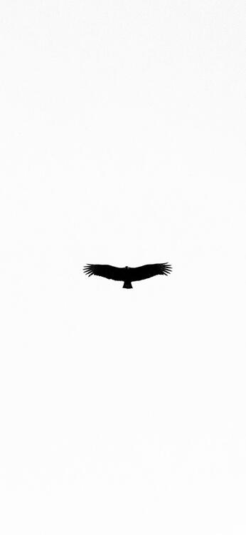 Wallpaper aesthetic wallpapers iPhone