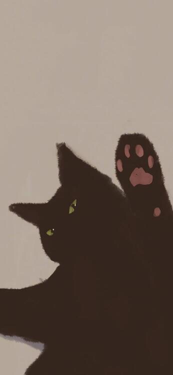 Gato 113066
