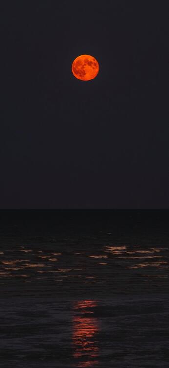 Beach 114971